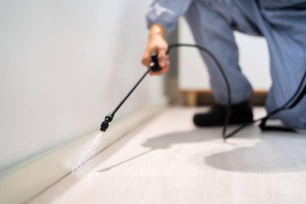 Licensed Fumigation Services service in Saltillo, MS - Nex Pest Control