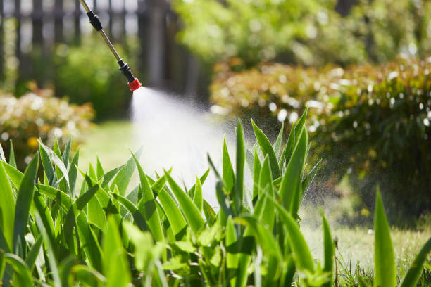 24/7 Emergency Fumigation Services experts in Saltillo, MS