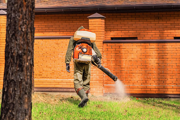 Top rated local Fumigation Services specialists in Saltillo, MS